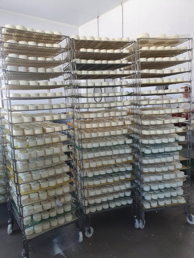 Podemos comer a casca do queijo?